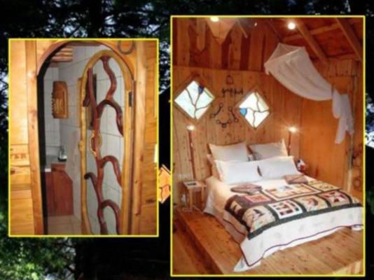 Sycamore Avenue Treehouses - 216949