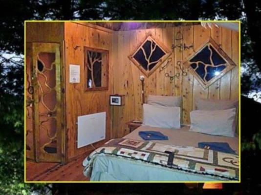 Sycamore Avenue Treehouses - 216951
