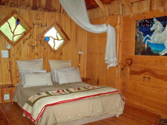 Sycamore Avenue Treehouses - 216953
