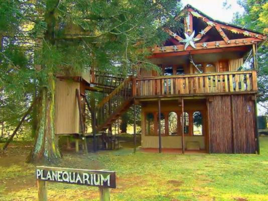 Sycamore Avenue Treehouses - 216957