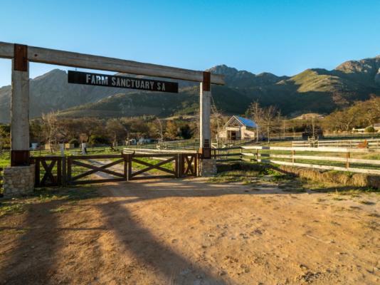 Farm Sanctuary SA - 217006