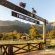 Farm Sanctuary SA - 217009