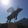 Farm Sanctuary SA - 217010