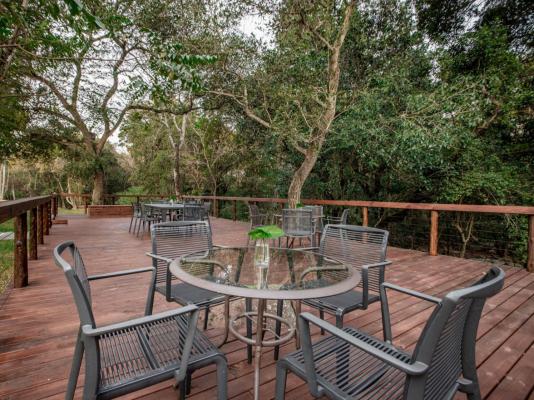 Bushbaby Valley Lodge - 217070