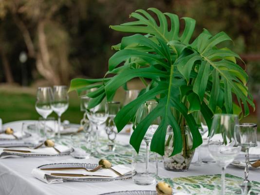 Bushbaby Valley Lodge - 217074
