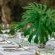 Bushbaby Valley Lodge - 217074