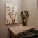 Bushbaby Valley Lodge - 217089