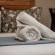 Bushbaby Valley Lodge - 217101