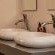 Bushbaby Valley Lodge - 217115