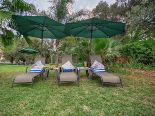 Three Oaks and an Aloe Boutique Hotel - 217347