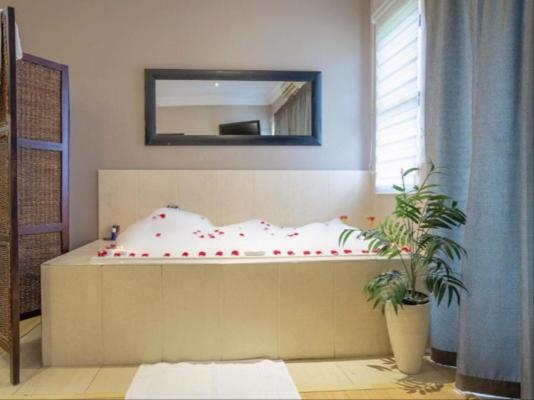 Three Oaks and an Aloe Boutique Hotel - 217353