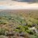 KaMsholo Bushveld Safaris - 217404