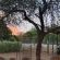 KaMsholo Bushveld Safaris - 217406