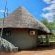 KaMsholo Bushveld Safaris - 217407