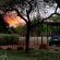 KaMsholo Bushveld Safaris - 217408