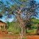 KaMsholo Bushveld Safaris - 217409