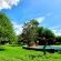 KaMsholo Bushveld Safaris - 217413