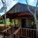 KaMsholo Bushveld Safaris - 217414