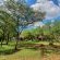 KaMsholo Bushveld Safaris - 217416
