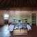 KaMsholo Bushveld Safaris - 217423