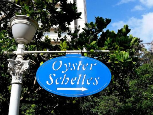 703 Oyster Schelles - 217766
