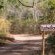 Bushwillow Collection - 217777