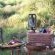 Bushwillow Collection - 217778