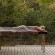 Bushwillow Collection - 217780