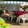 Cosy Den - 217973