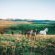 Montusi Mountain Lodge - 217997