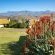 Montusi Mountain Lodge - 218006
