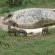 Baluleni Safari Lodge - 218155