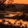 Baluleni Safari Lodge - 218157
