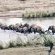 Baluleni Safari Lodge - 218170