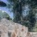 Baluleni Safari Lodge - 218212