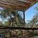 Baluleni Safari Lodge - 218217