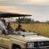 Honeyguide Ranger Camp - 218281