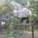 Honeyguide Ranger Camp - 218284