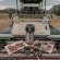 Honeyguide Ranger Camp - 218287