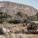 Honeyguide Ranger Camp - 218289
