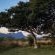 Honeyguide Ranger Camp - 218290