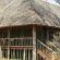 Honeyguide Ranger Camp - 218294