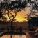 Honeyguide Ranger Camp - 218296