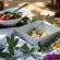 Honeyguide Ranger Camp - 218298