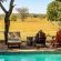 Honeyguide Ranger Camp - 218302