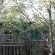 Honeyguide Ranger Camp - 218306