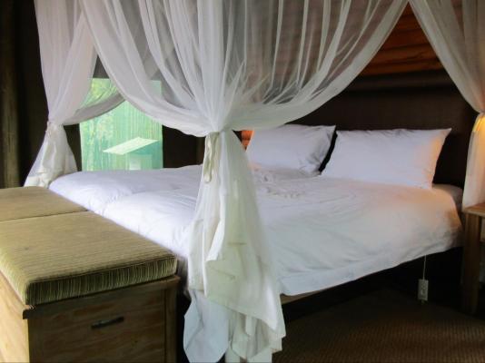 Room image 6