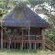 Honeyguide Ranger Camp - 218323