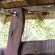 Honeyguide Ranger Camp - 218325