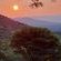 Nguni Rest - 218348